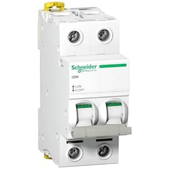 Interrupteur-sectionneur bipolaire Schneider Electric iSW A9S65263.
